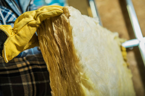 Types of Insulation We Offer in Pembroke Park, FL